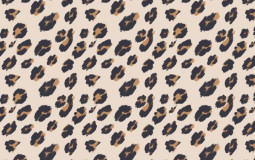 men i would risk it all for